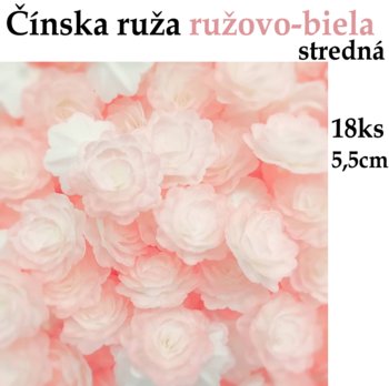 RD Čínska ruža stredná Ružovo-biela 18ks
