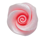 RDC  Ruža cukrová Stredná perleťovo ružová 16ks