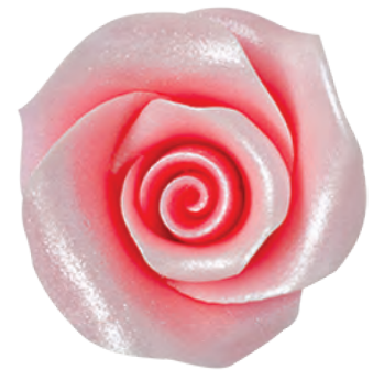 RDC uža cukrová Veľká perleťovo ružová 10ks