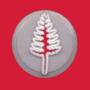 FMM Fern- papraď