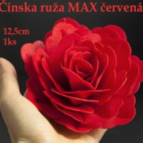 RD Čínska ruža MAX červená