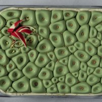 silikónová forma na tortu, silikónová forma na zmrzlinu, forma na ice cream, zmrzlina, zmrzlina doma, 