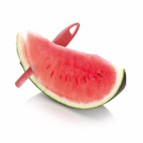 Tescoma- Nôž na melón PRESTO