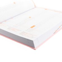 Diár Šikovná mama 2026