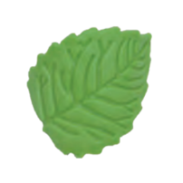 RDC List ruže cukrový Zelený 10ks