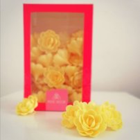 RD Čínska ruža veľká Žltá 15ks