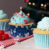 PME košíčky na muffiny Zimné zvieratká/vločky foliované BC057