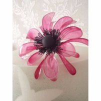 Isomalt biely 500g