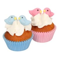 FC Cukrové ozdoby Love birds 16ks F50150