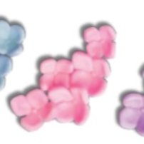 cukrové kvety na tortu, jedlé kvety, cukrové ozdoby na tortu