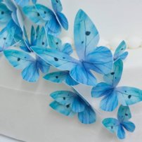 motýle z jedlého papiera, jedlé motýle na tortu