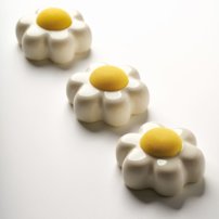 P silikónová forma na margarétky PX4383