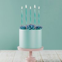 narodeninové sviečky na tortu 