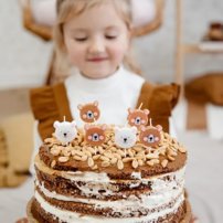 PD sviečky Mackovia 6ks