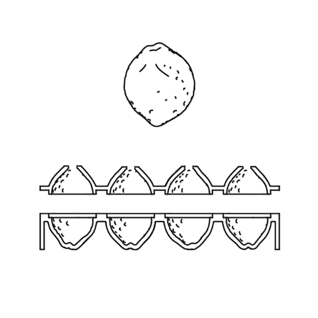 P Forma Citrón AF006 – Obrázok 3