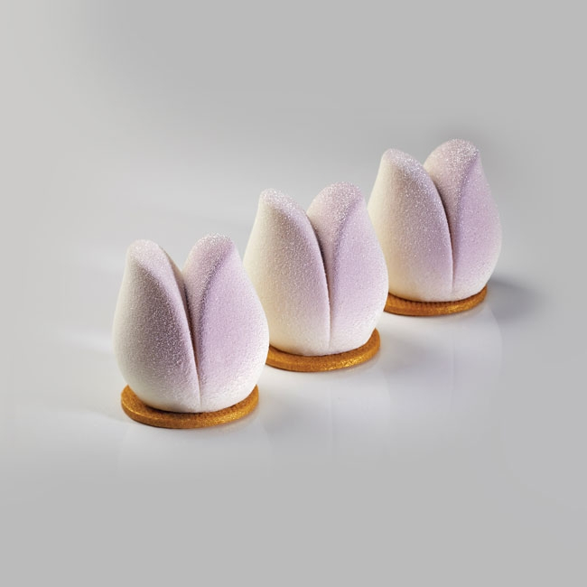 P Forma Tulip PX4365 – Obrázok 2